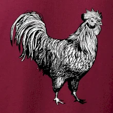 Kohout kreslený černobílý