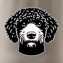 Lagotto romagnolo hlava na prsu