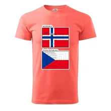 Norská a česká vlajka