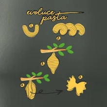 Evoluce pasta