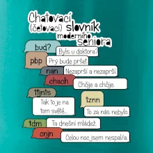 Chatovací slovník moderního seniora (Běžící češtinář)