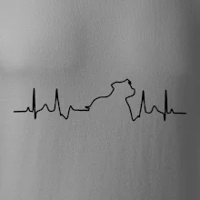 Stafordšírsky bulteriér EKG