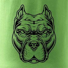 Americký stafordširský teriér hlava