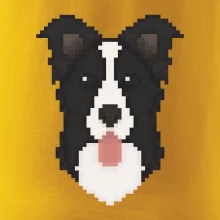 Border kolie Pixel