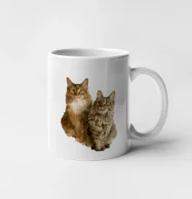 Kočky vectorizované  (Moňas)