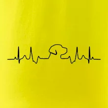 Labrador EKG Labrador EKG