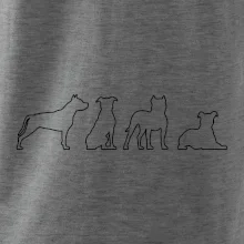 Americký stafordširský teriér v různých pozicích