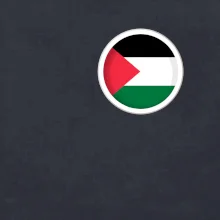 Palestina vlajka prso
