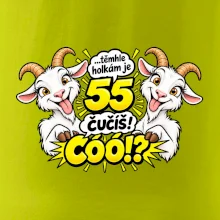 Těmhle holkám je 55, čučíš co?