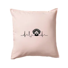 Lagotto romagnolo hlava EKG