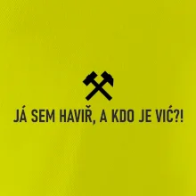 JÁ SEM HAVIŘ, A KDO JE VIĆ?!﻿