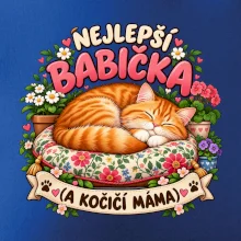 Nejlepší babička a kočičí máma spící zrzavý kocour