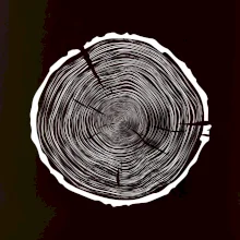 Letokruhy 90 bez věku