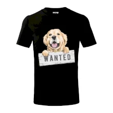Zlatý retriever - štěně wanted