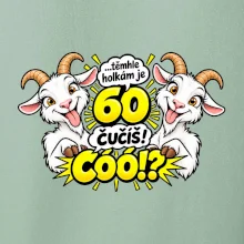 Těmhle holkám je 60, čučíš co?