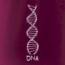 Cyklistovo DNA
