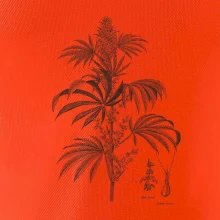 Konopí kytka černobílá