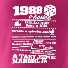 1988 v kostce