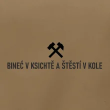 BINEĆ V KSICHTĚ A ŠTĚSTÍ V KOLE﻿