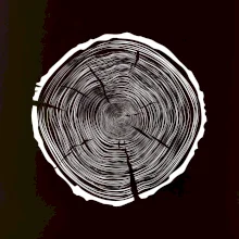 Letokruhy 95 bez věku