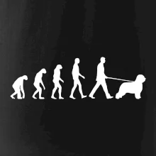 Evoluce pes Briard Evoluce pes Briard