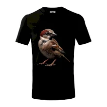 Vrabec polní černá fotka