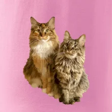 Kočky vectorizované  (Moňas)