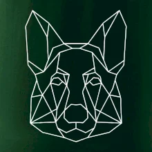 Německý ovčák - Geometrie