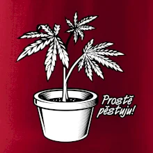 Konopi prostě pěstuju