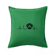 Lagotto romagnolo hlava EKG