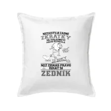Zedník zkratky