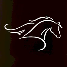 Kůň - bežící silueta hlavy