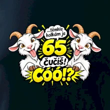 Těmhle holkám je 65, čučíš co?