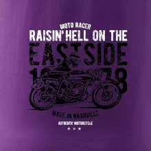 Raisin Hell Moto Racer