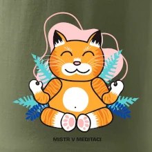 Kočka - mistr v meditaci (Pecka design)