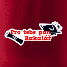 Pro tebe pan Bakalář