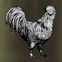 Kohout kreslený černobílý