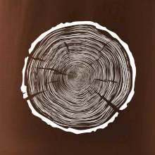 Letokruhy 100 bez věku