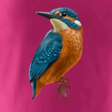 Lednáček kreslený