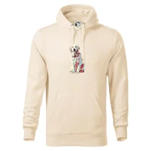 Zlatý retriever vintage