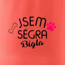 Jsem ségra Bígla
