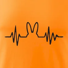 EKG zajíc EKG zajíc