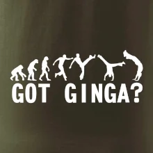 Capoeira - Got Ginga
