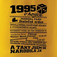 1995 v kostce