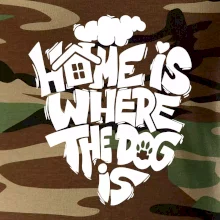 Home is where the dog
