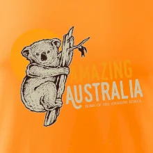 Amazing Australia koala