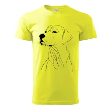 Labrador černá kresba