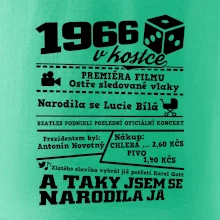 1966 v kostce