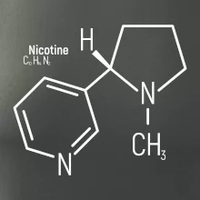 Molekulární struktura Nikotin