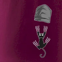 Kočka vypadla z kapsy